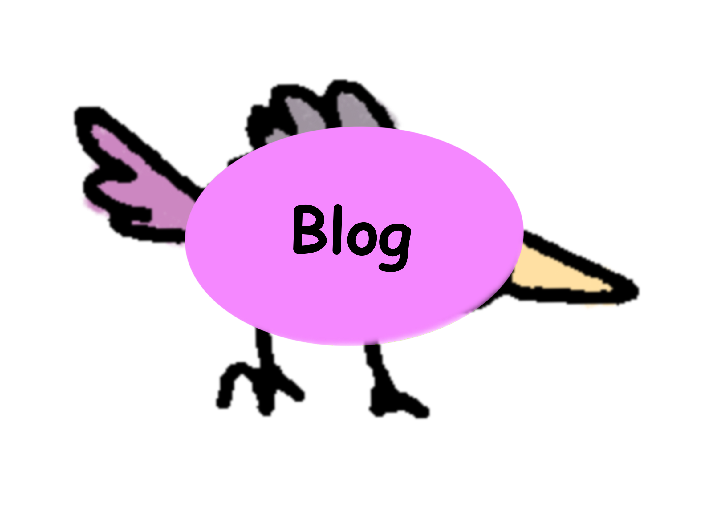 Blog